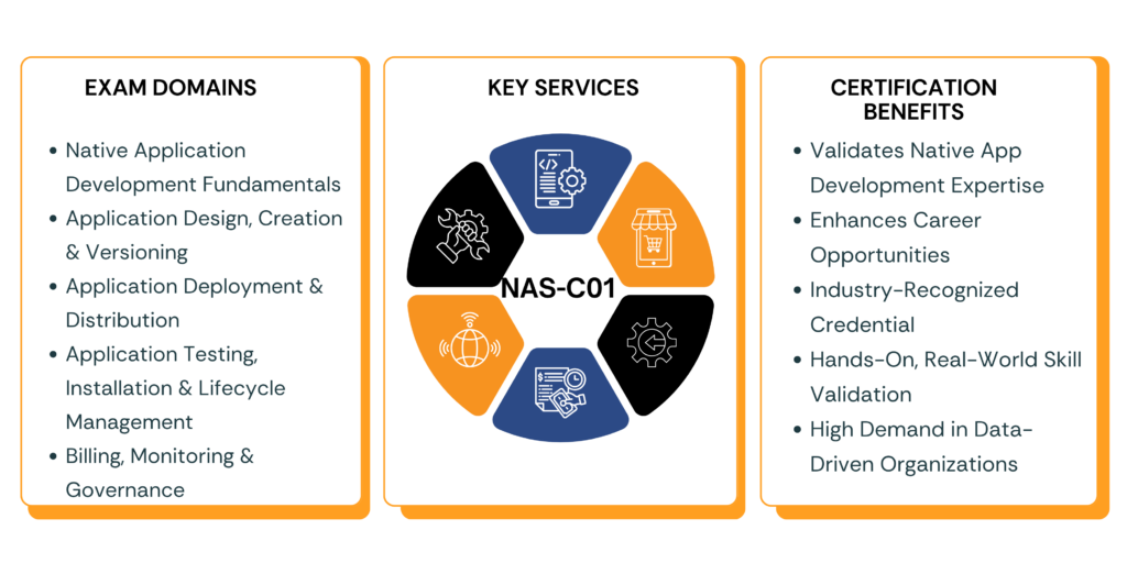 AWS NAS-C01 exam domains, key services, and certification benefits infographic overview